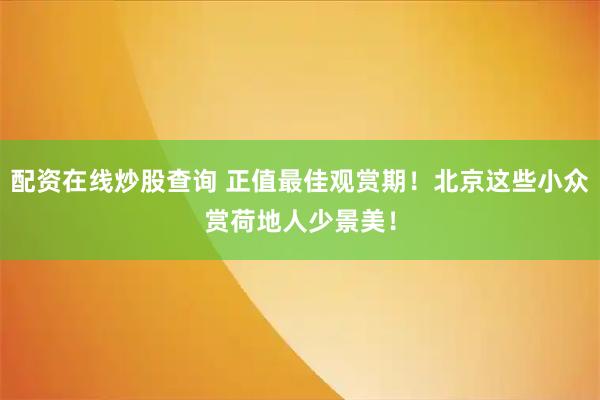 配资在线炒股查询 正值最佳观赏期！北京这些小众赏荷地人少景美！