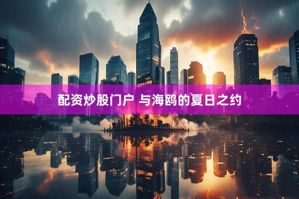 配资炒股门户 与海鸥的夏日之约